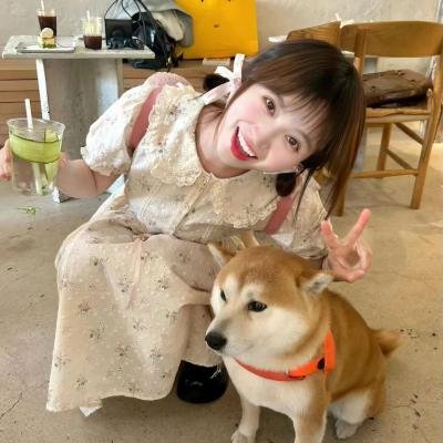 被怀疑:兔子和刺猬