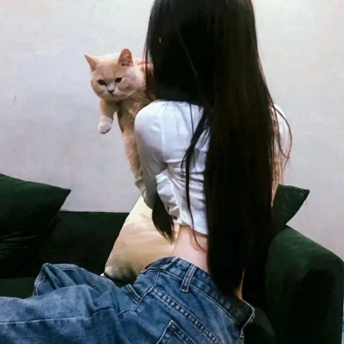 永远的莫札特