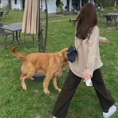 一位陌生女子的来信